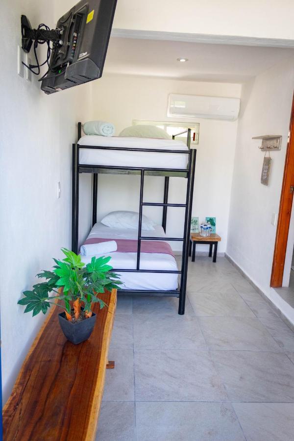 Hotel Seyba Bakalar Bacalar Bagian luar foto