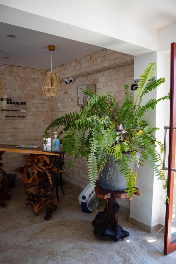 Hotel Seyba Bakalar Bacalar Bagian luar foto